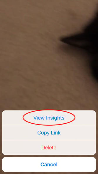 View Insights tab on IGTV video for viewing analytics